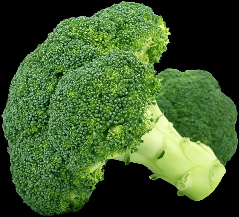 Vegetarian Delights